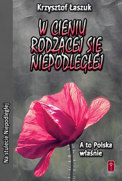 W cieniu rodzącej się niepodległej. A to Polska właśnie.